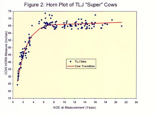 Longhorn Horn Growth Chart