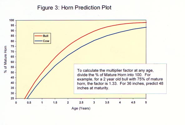 Longhorn Horn Growth Chart