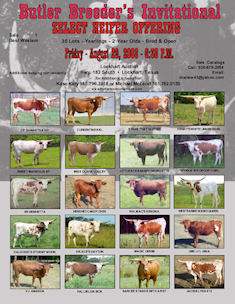 2008 Butler Breeders Heifer Sale Ad
